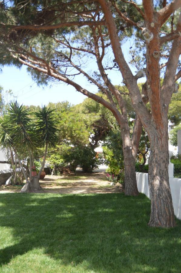 Secret Garden Apartments Mykonos Town Zewnętrze zdjęcie