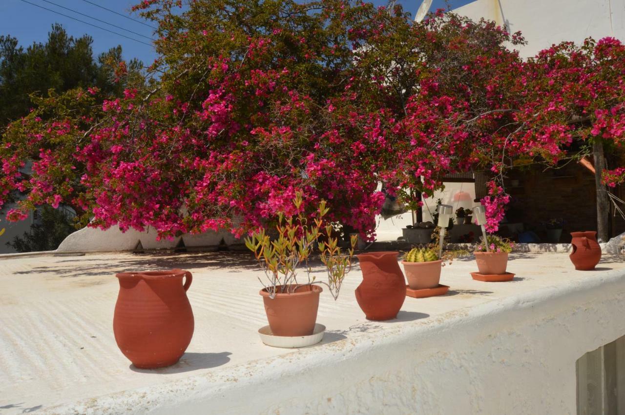 Secret Garden Apartments Mykonos Town Zewnętrze zdjęcie