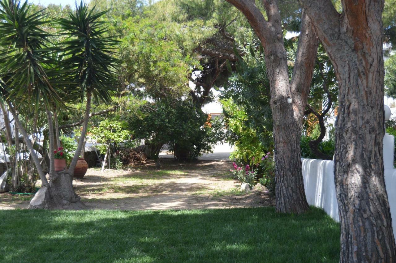 Secret Garden Apartments Mykonos Town Zewnętrze zdjęcie